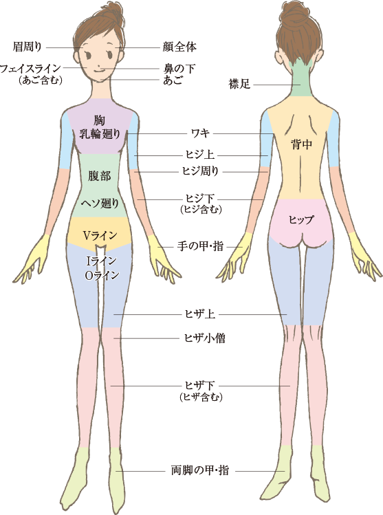 脱毛部位