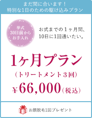 1ヶ月プラン