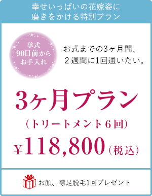 3ヶ月プラン