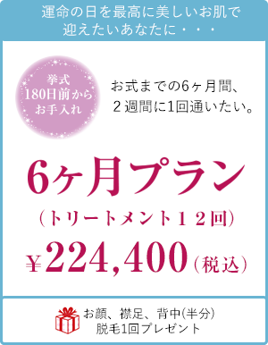 6ヶ月プラン