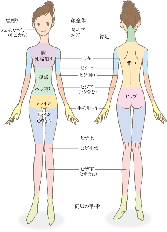 脱毛施術：部位エリアの図